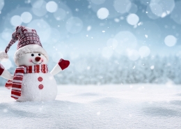 Merry Christmas from BCRTA!