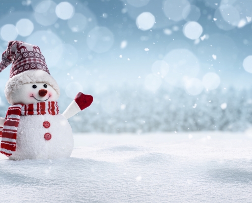 Merry Christmas from BCRTA!