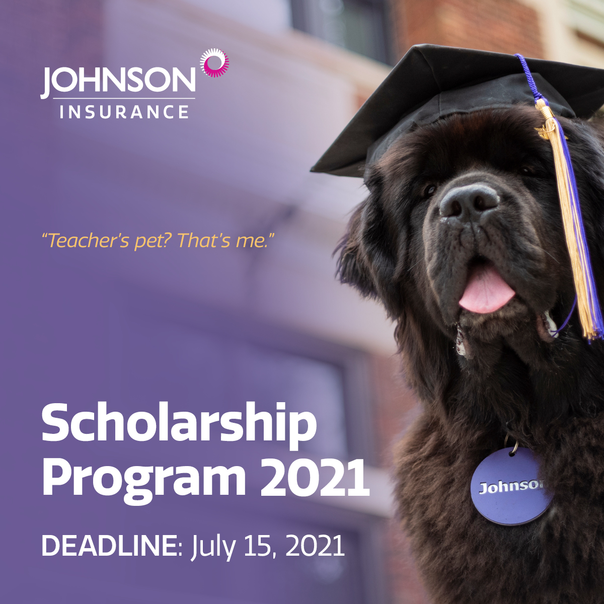 Johnson Insurance 2021 Scholarship Program